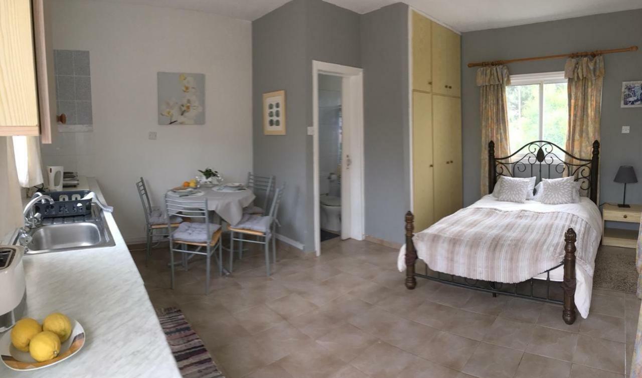 Detached Cozy Studio Paralimni Eksteriør billede